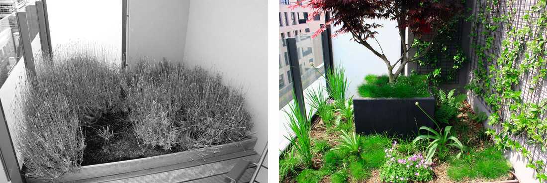 Terrasse réalisée par un jardinier paysagiste à Strasbourg