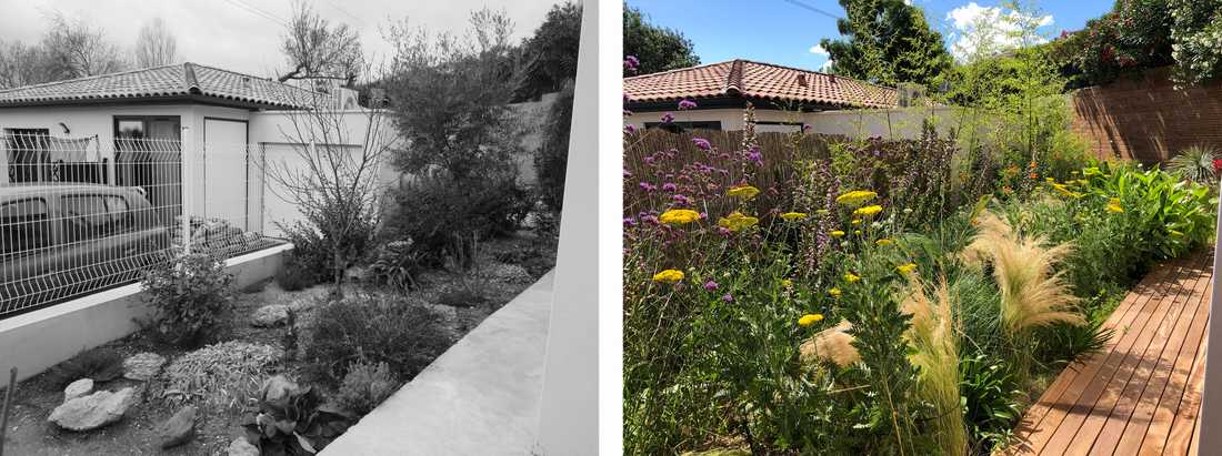 Avant-après de l'aménagement d'une petit jardin dans un lotissement par un paysagiste dans le Bas-Rhin