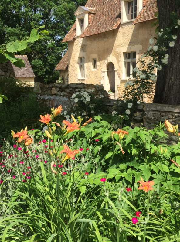 Fleurs d'orangés dans un jardin dans le Bas-Rhin