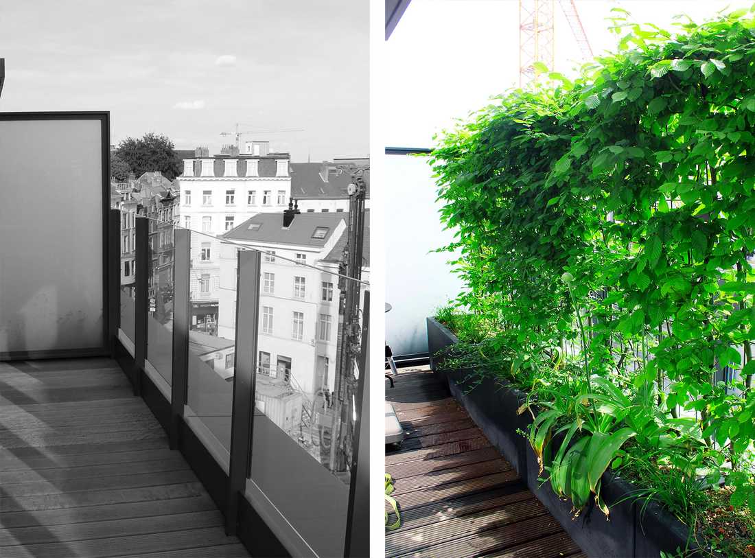 Avant-après : installation d'un arrosage automatique sur une terrasse à Strasbourg