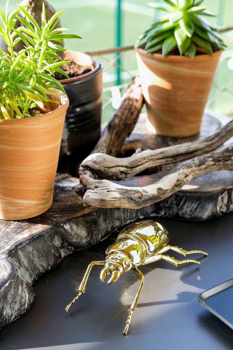 Optimisation et végétalisation d'une petite terrasse - le coin détente avec décoration